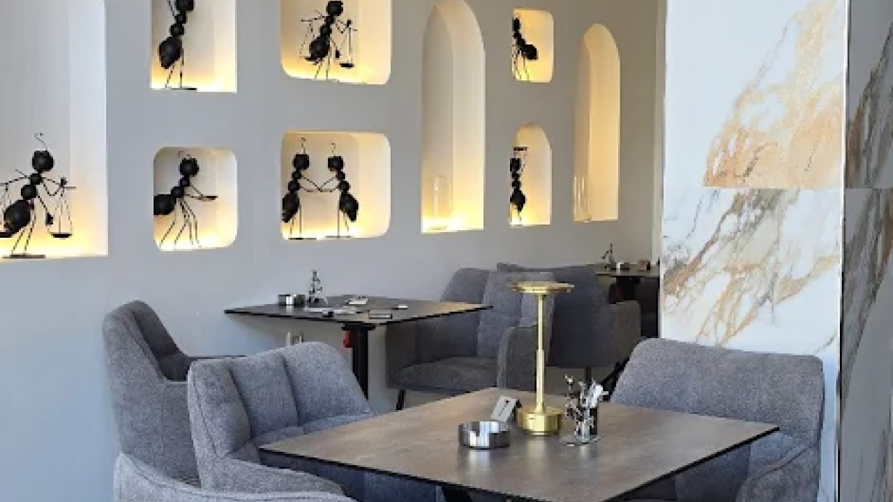 THE HALF -DIPLOMATS LOUNGE  